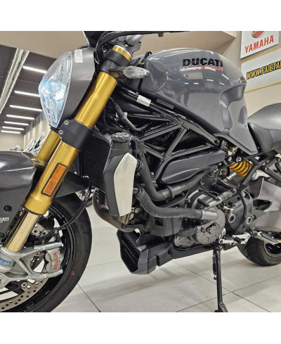 Ducati Monster 1200 S (2017 - 21)