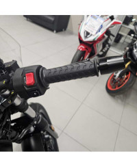 Moto Guzzi V7 Stone (2025 - 26)