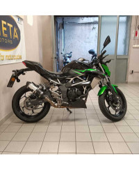 Kawasaki Z 125 (2021 - 24)