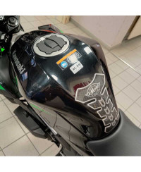 Kawasaki Z 125 (2021 - 24)
