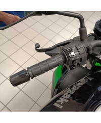 Kawasaki Z 125 (2021 - 24)