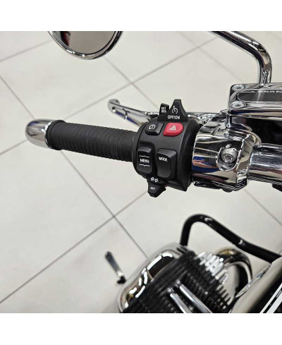 Bmw R 18 100 Years (2023)