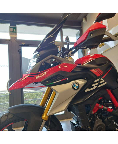 Bmw G 310 GS (2021 - 25)