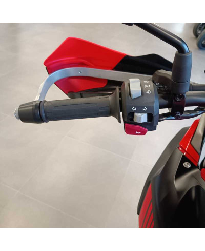 Bmw G 310 GS (2021 - 25)