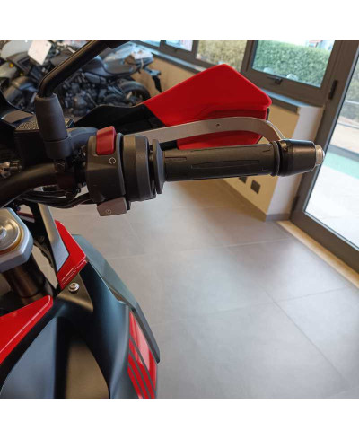 Bmw G 310 GS (2021 - 25)