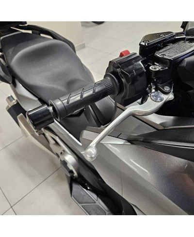 Honda Forza 750 DCT (2021 - 24)