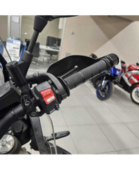 Yamaha Ténéré 700 World Raid (2022 - 25)