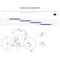 Bicicletta Elettrica Giant Explore E+2 GTS - 2021