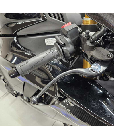 Yamaha YZF R1M (2020 - 25)