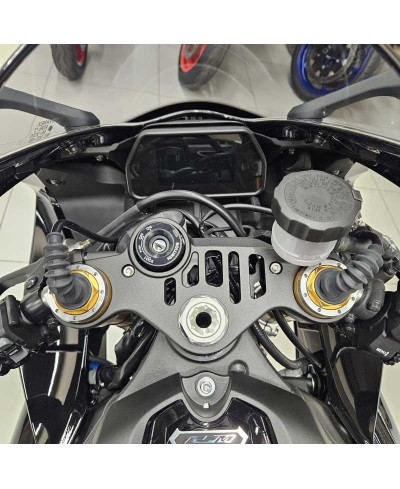 Yamaha YZF R1M (2020 - 25)