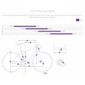 Bicicletta Elettrica Giant THRIVE E+EX PRO (25 KM/H) - 2020