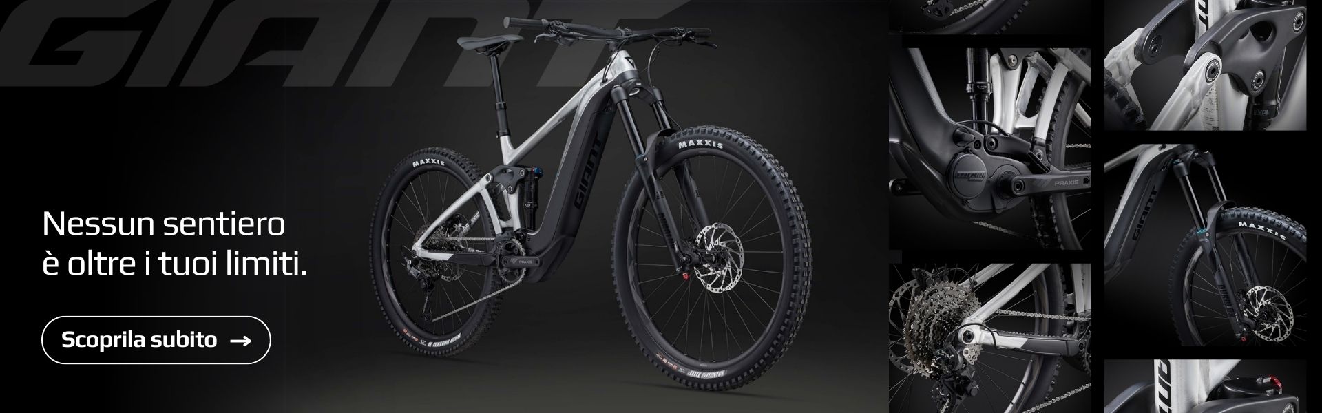 Ebike Faieta - Giant Reign E+ 3 - 2024
